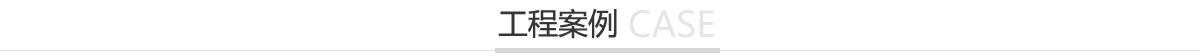 չʾ
